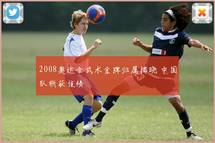 2008奥运会武术金牌归属揭晓 中国队斩获佳绩