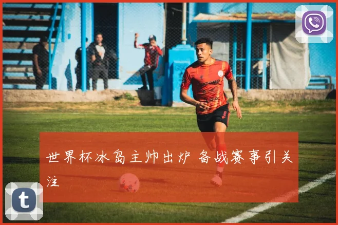 世界杯冰岛主帅出炉 备战赛事引关注