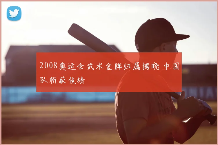 2008奥运会武术金牌归属揭晓 中国队斩获佳绩