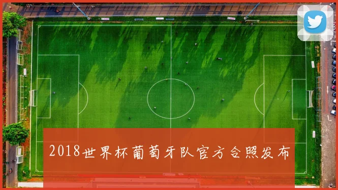 2018世界杯葡萄牙队官方合照发布