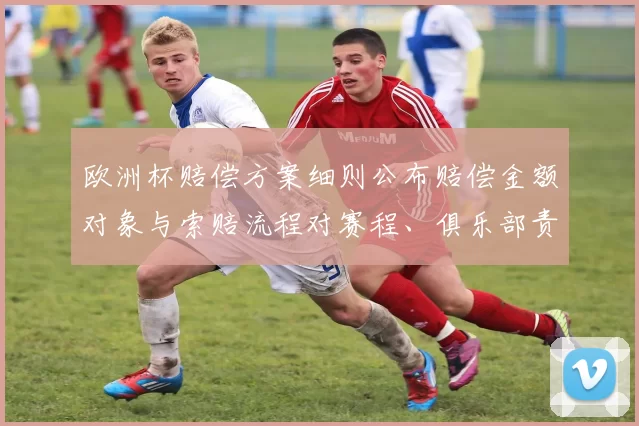 欧洲杯赔偿方案细则公布赔偿金额对象与索赔流程对赛程、俱乐部责任影响